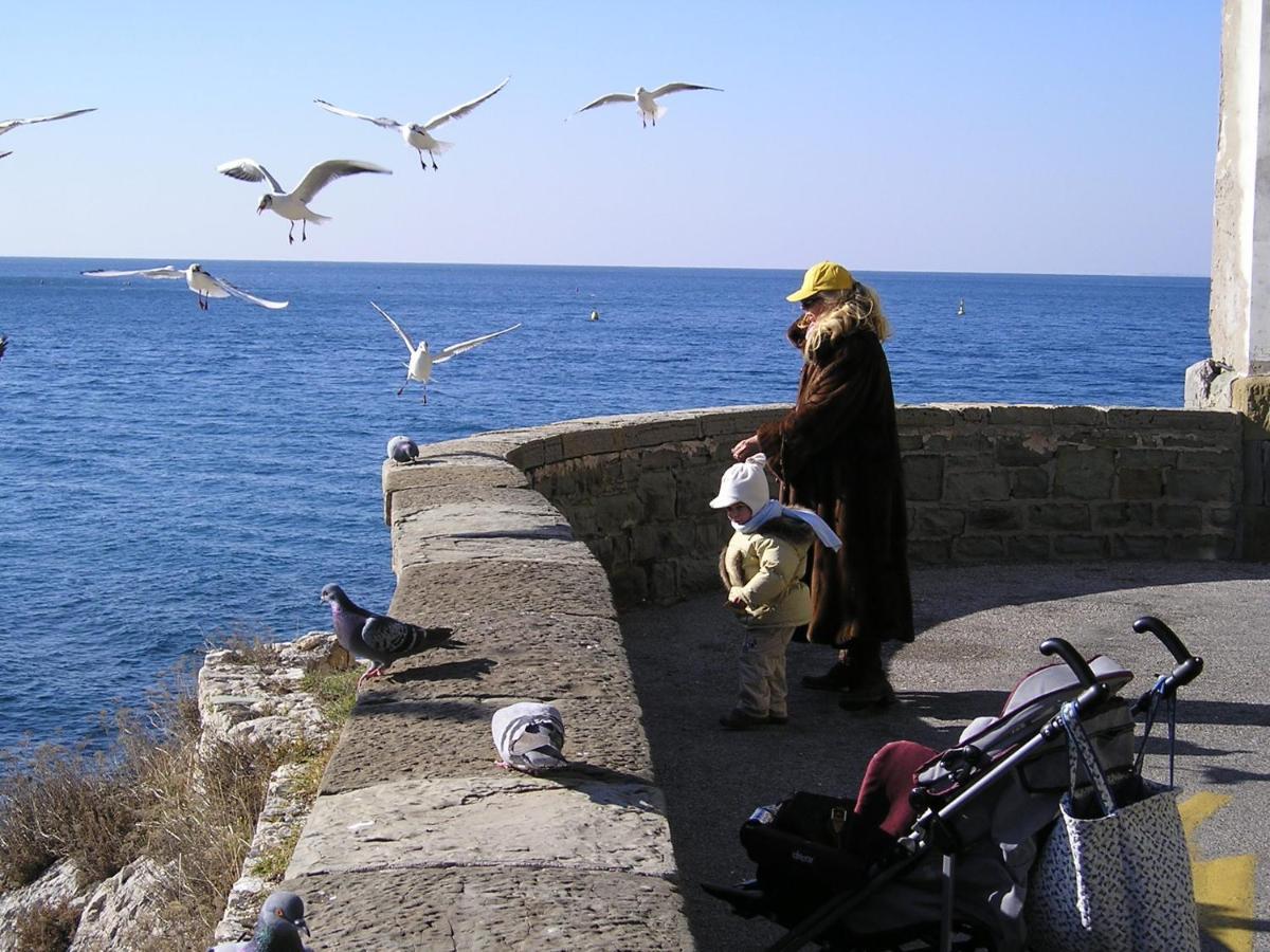La Mansarda Delle Meraviglie B&B Superior Trieste Dış mekan fotoğraf